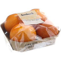 ORANGE MORO GROSBUSCH PREPACK 10X4PCS